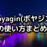voyaginの写真